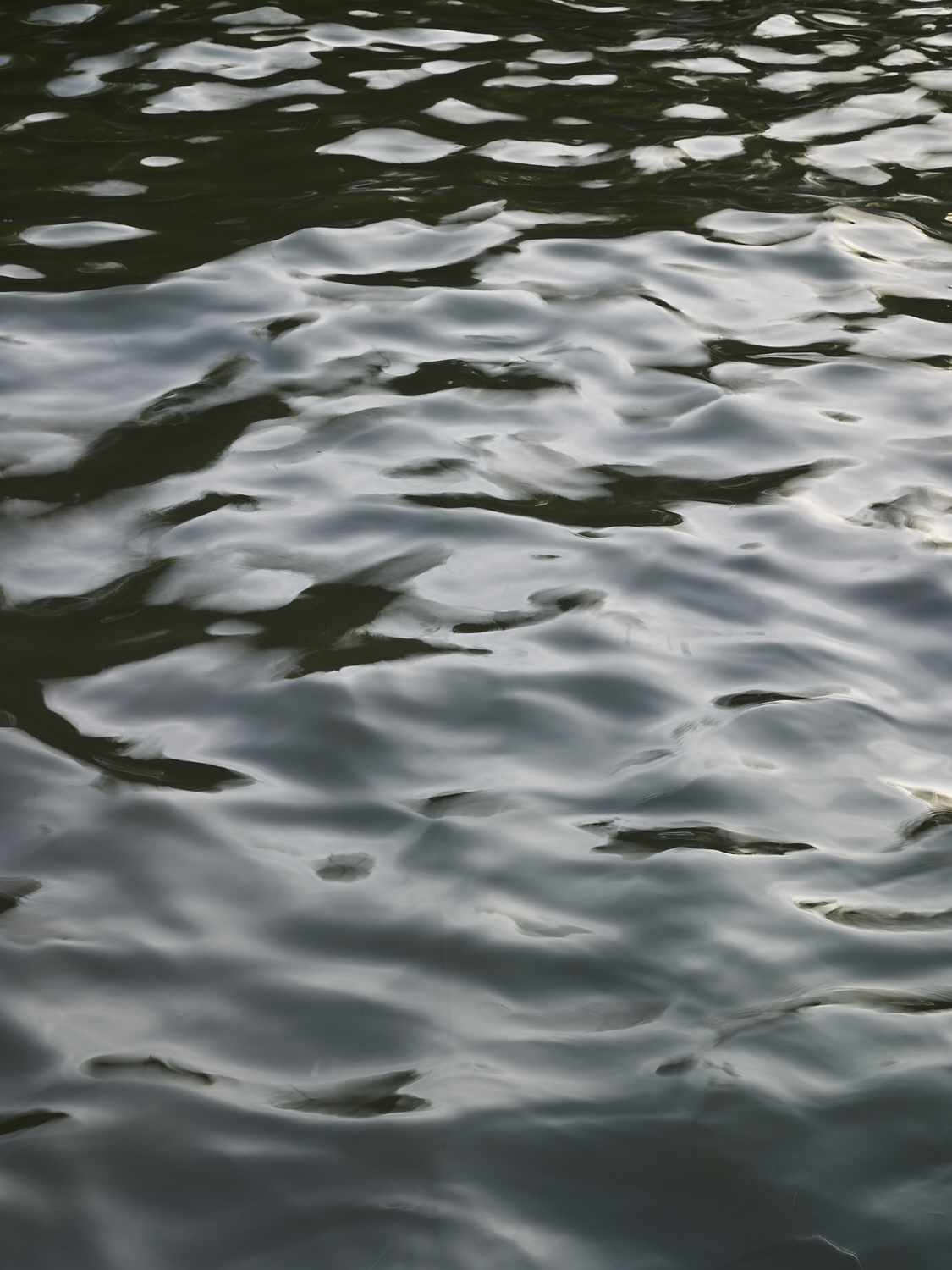 liquid bangkok 22, Bangkok, 2016